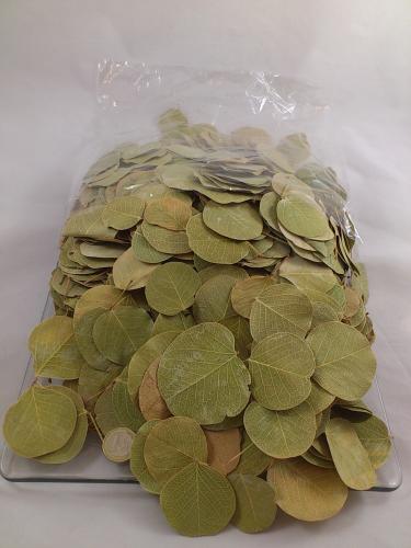 Moneta leaves 250 gr.